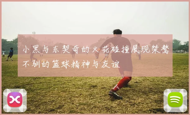 小黑与东契奇的火花碰撞展现桀骜不驯的篮球精神与友谊