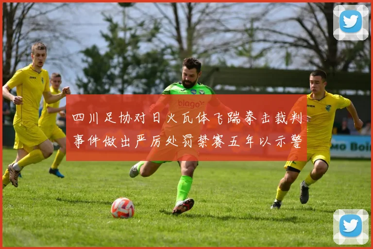 四川足协对日火瓦体飞踹拳击裁判事件做出严厉处罚禁赛五年以示警戒