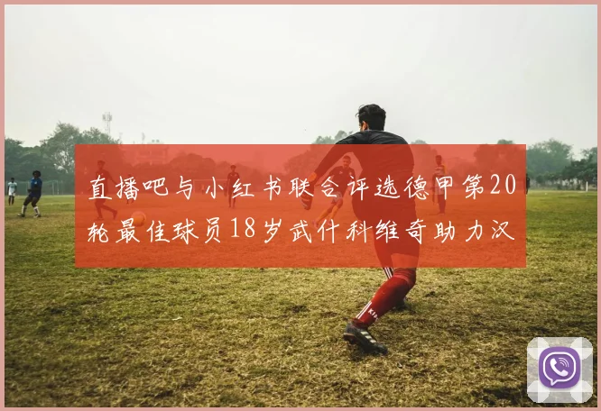 直播吧与小红书联合评选德甲第20轮最佳球员18岁武什科维奇助力汉堡逼平拜仁